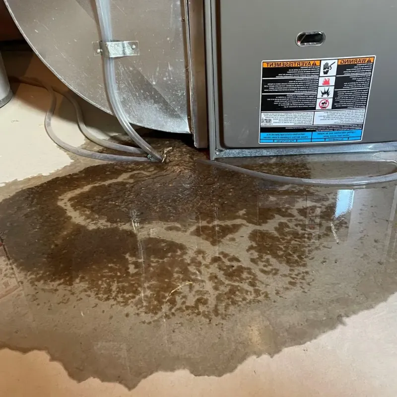 Pipe Burst and Leak Restoration in Chenango Bridge, NY