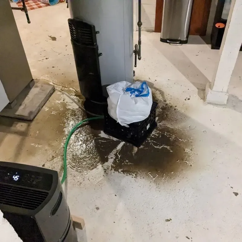 Sewage Backup Cleanup Service in Chenango Bridge, NY